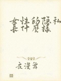 女性的隐私部位长什么样