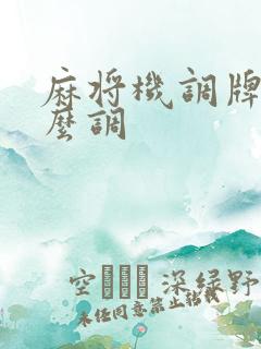 麻将机调牌数怎么调