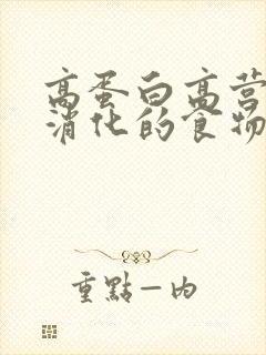 高蛋白高营养易消化的食物