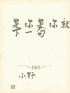 是你是你就是你下一句