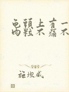 龟头上有一圈小肉粒不痛不痒