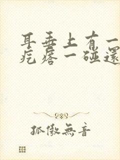 耳垂上有一个硬疙瘩一碰还疼