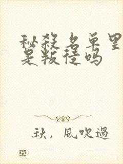 秘杀名单里陶公是叛徒吗