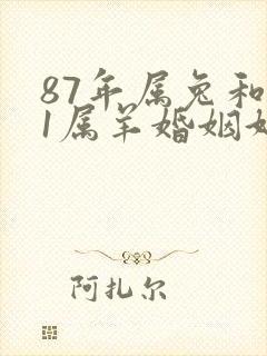 87年属兔和91属羊婚姻好不好