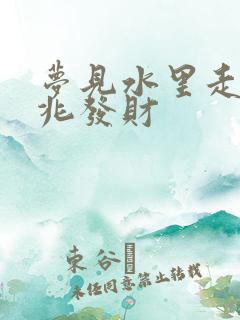 梦见水里走是吉兆发财