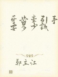 牙齿牵引手术需要多少钱