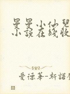 曼曼小仙儿有声小说在线收听