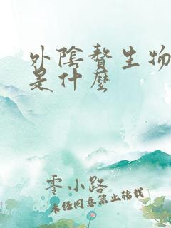 外阴赘生物可能是什么