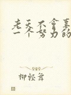 老天不会辜负每一个努力的人的句子