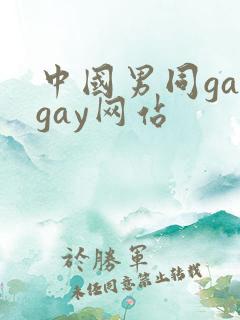 中国男同gaygay网站