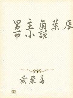 男主角叶辰的都市小说