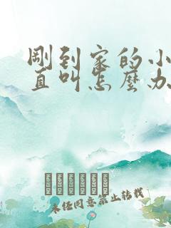 刚到家的小狗一直叫怎么办