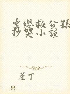 云缨救公孙离被抄哭小说
