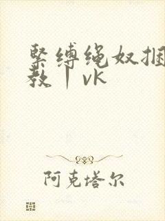 紧缚绳奴捆绑调教丨vk