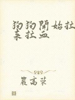 狗狗开始拉稀后来拉血