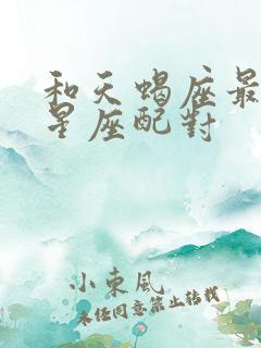 和天蝎座最配的星座配对