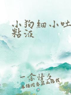 小狗细小吐白色粘液