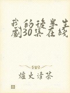我的后半生电视剧30集在线播放
