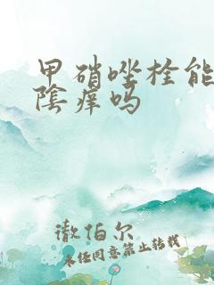 甲硝唑栓能治外阴痒吗