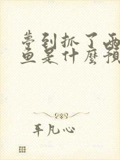 梦到抓了两条大鱼是什么预兆