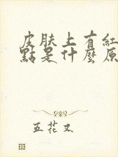 皮肤上有红色斑点是什么原因