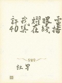 许我耀眼电视剧40集在线播放免费