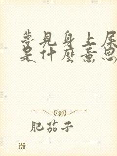 梦见身上屎粪便是什么意思?