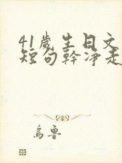 41岁生日文案短句干净走心