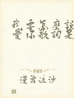 我要怎么说我不爱你歌词是什么歌