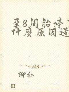 孕8周胎停了是什么原因造成的