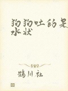 狗狗吐的是透明水状