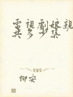 电视剧娘亲舅大共多少集