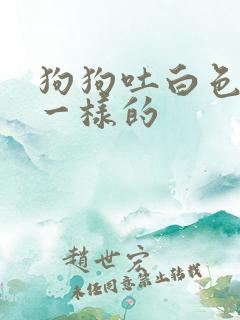 狗狗吐白色像痰一样的