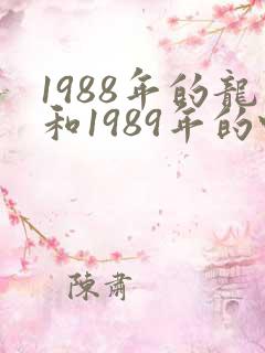 1988年的龙和1989年的蛇婚姻合适吗?