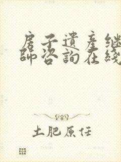 房子遗产继承律师咨询在线