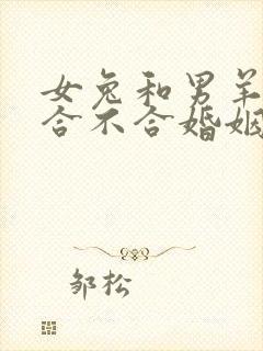 女兔和男羊属相合不合婚姻