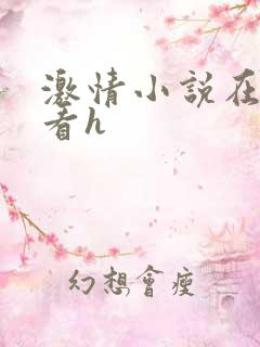 激情小说在线观看h