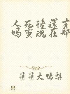 人死后还有灵魂吗灵魂在哪里