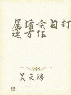 属猪今日打牌财运方位