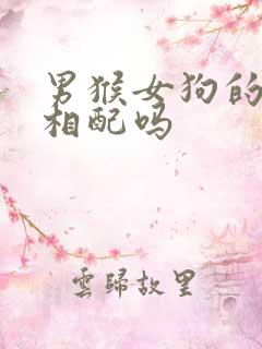 男猴女狗的婚姻相配吗