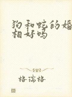 狗和蛇的婚配属相好吗