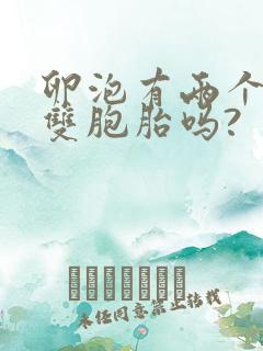 卵泡有两个会怀双胞胎吗?