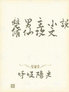 双男主小说推荐修仙攻文