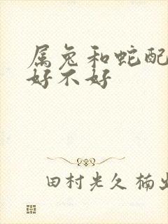 属兔和蛇配婚姻好不好