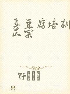 臭豆腐培训哪里正宗