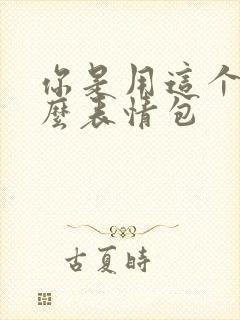 你是用这个拍的么表情包