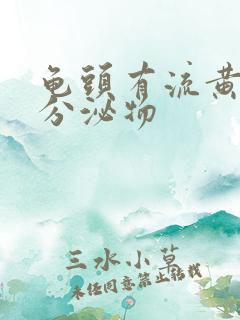 龟头有流黄脓状分泌物