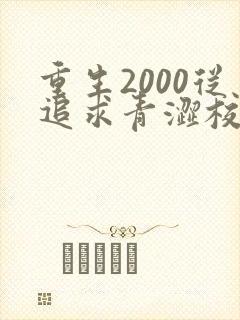 重生2000从追求青涩校花同桌最新