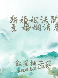 新婚姻法关于房产 婚姻法房产