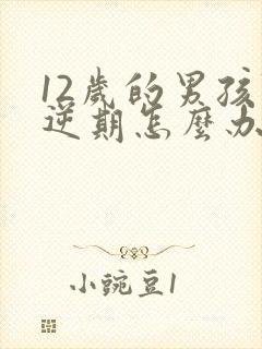 12岁的男孩叛逆期怎么办